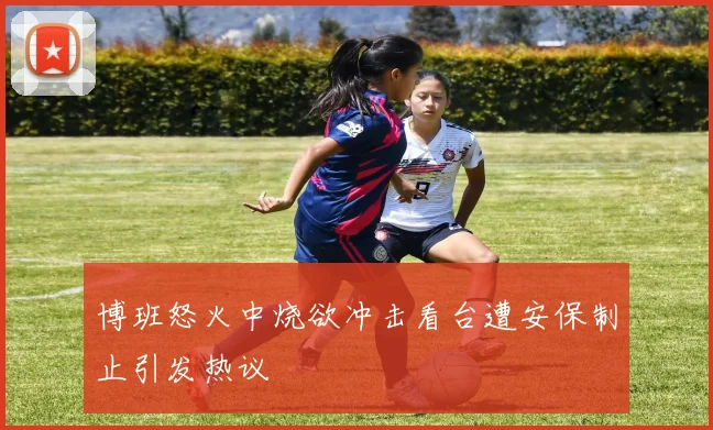 博班怒火中烧欲冲击看台遭安保制止引发热议
